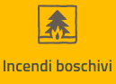 Incendi boschivi